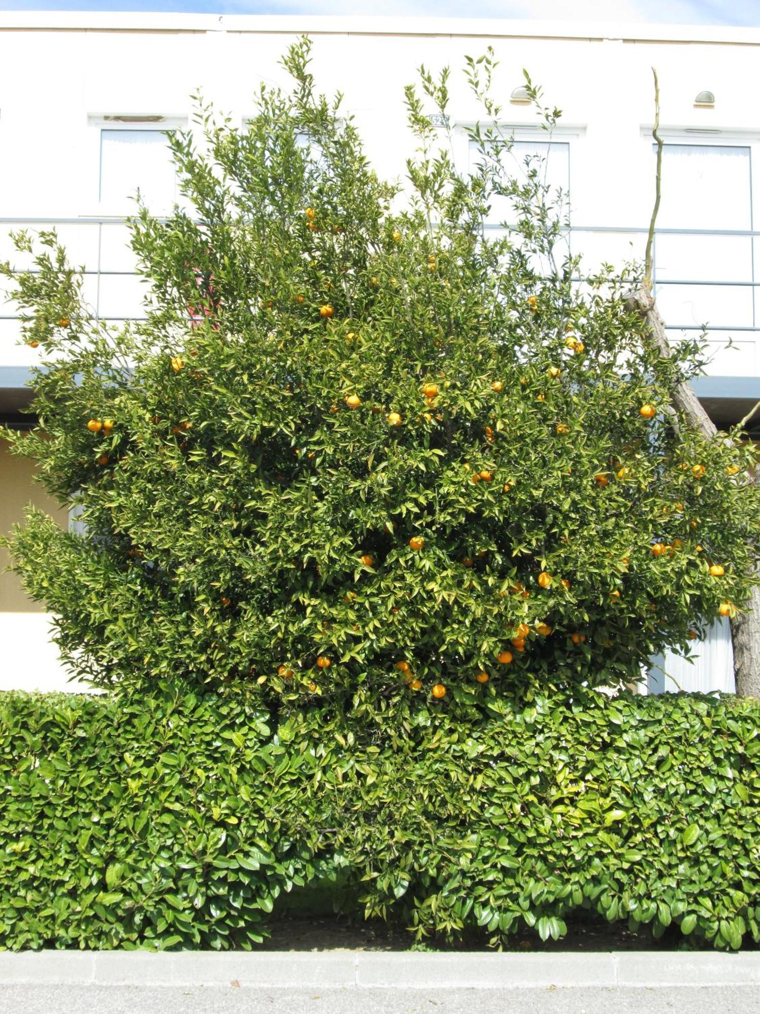 Top Motel Istres Exterior photo